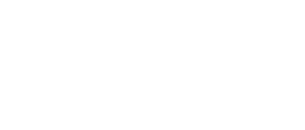 Fondas Janukonis